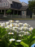 Landscape design and planning