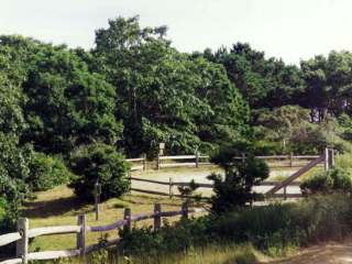 Nantucket Conservation Subdivision
