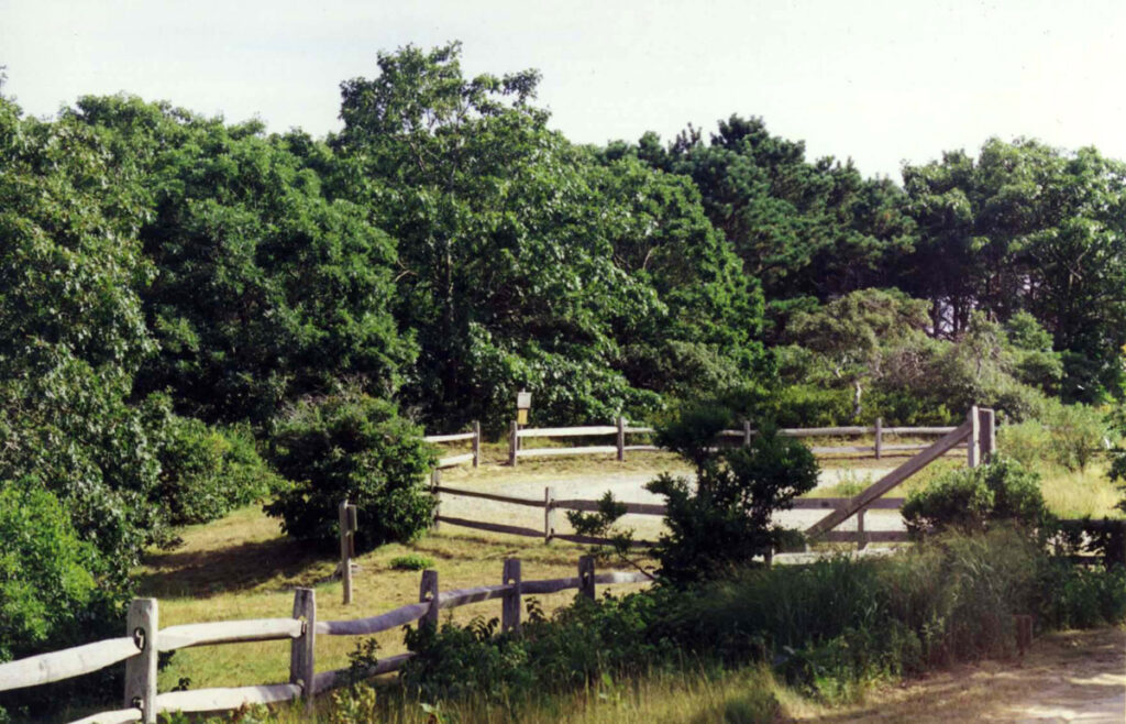 Nantucket Conservation Subdivision