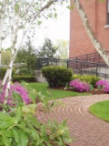Weinmayr/Jay Landscape,Dundee Park Mill Complex